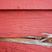 5 Problems Most Homeowners Have With Wood Siding
